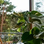 Casa Mimosa A 2 Passi Dal Mare Con Garage *
